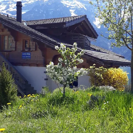 Chalet Diana Lakefront Ringgenberg Exterior photo